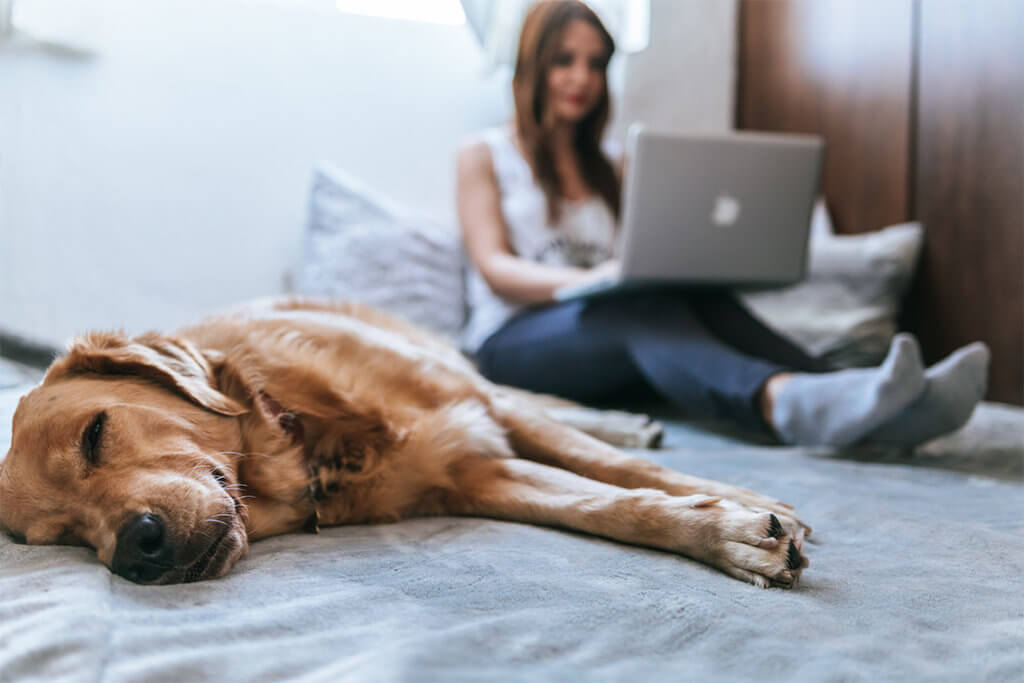 Dochádzkový systém sa dnes oplatí zavádzať aj vo firmách, ktoré zaviedli home office alebo hybridný model práce.