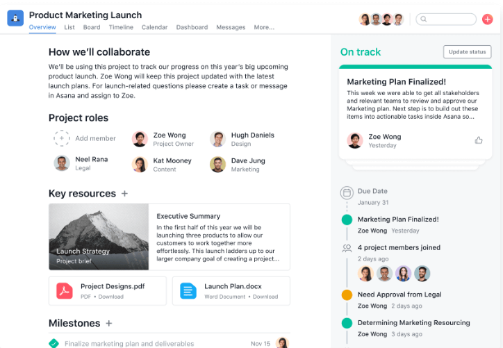Asana-project-managment