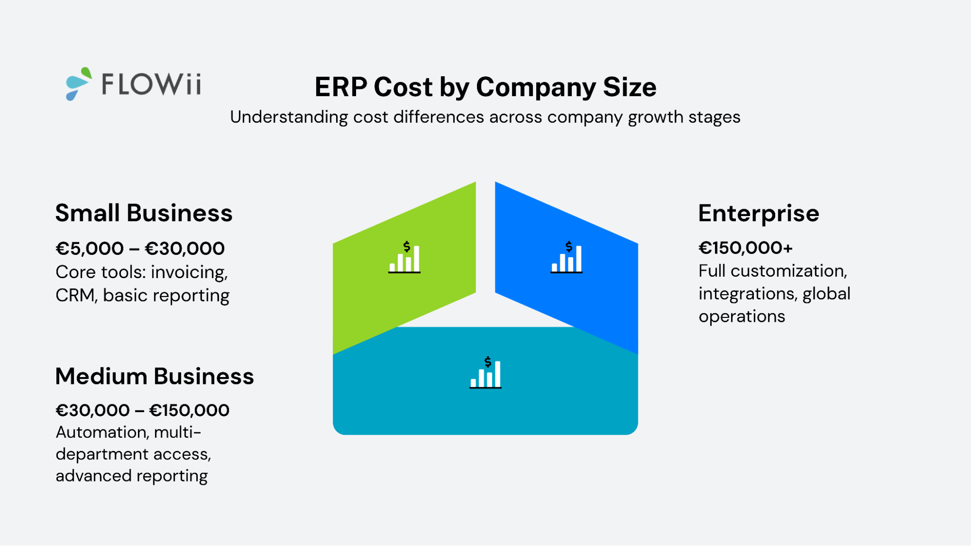 ERP costs